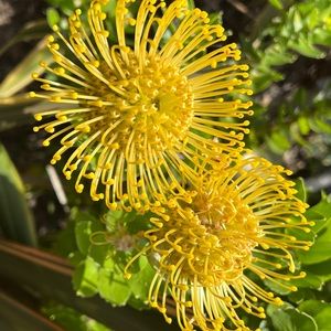 Meet your Posher, Randy